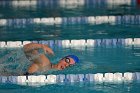 Swimming vs Bentley  Wheaton College Swimming & Diving vs Bentley College. - Photo by Keith Nordstrom : Wheaton, Swimming & Diving